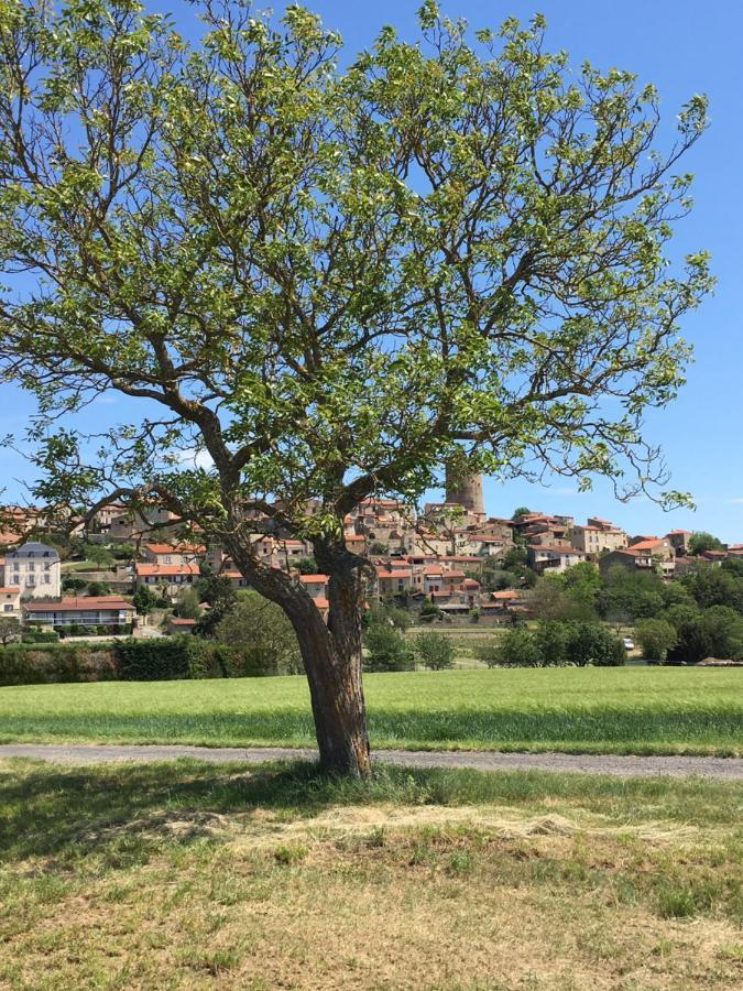 La Charmeraie Montpeyroux  Esterno foto