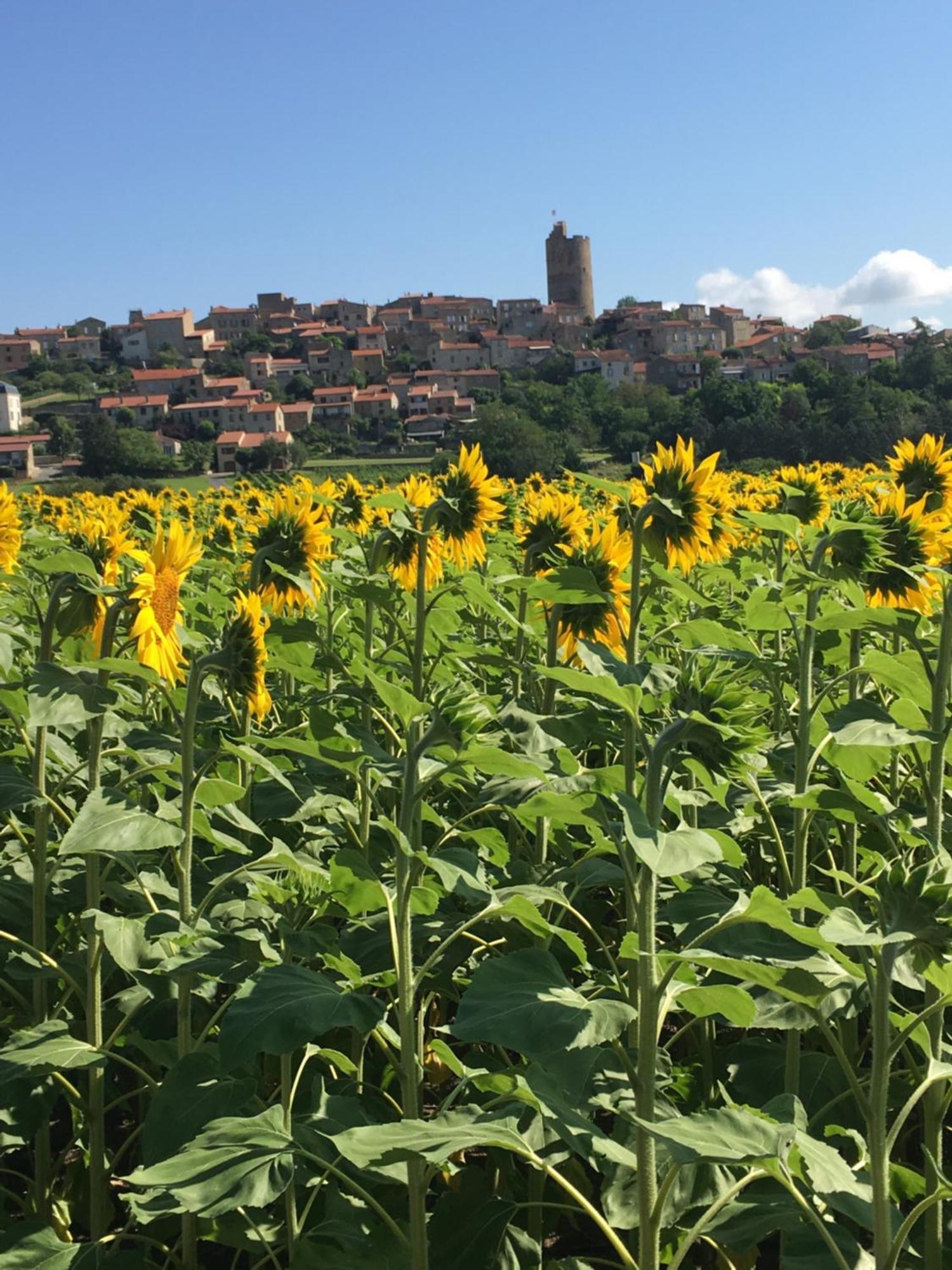 La Charmeraie Montpeyroux  Esterno foto